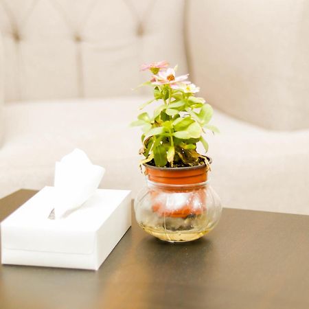 Al Farhan Hotel Suites Al Aqiq Rijad Zewnętrze zdjęcie